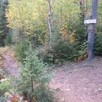 Big White Pine Camp ico