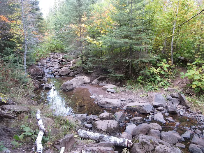 Big White Pine Camp Picture 6