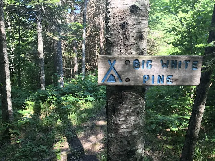 Big White Pine Camp Picture 7
