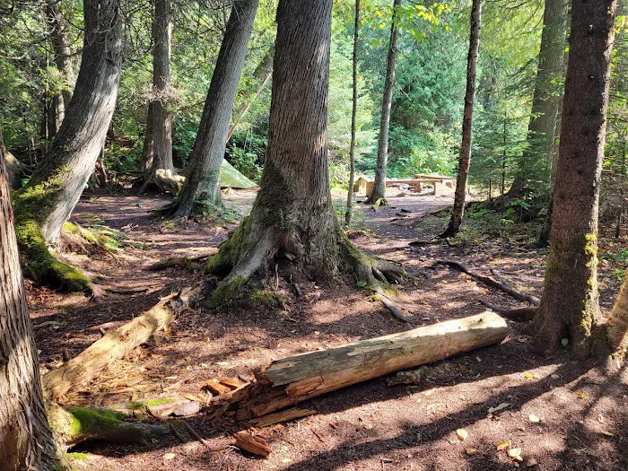 Trout Creek Campsite Picture 3