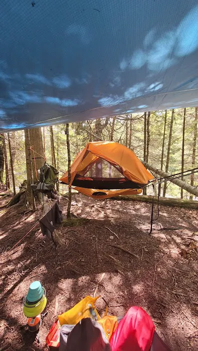 Trout Creek Campsite Picture 1