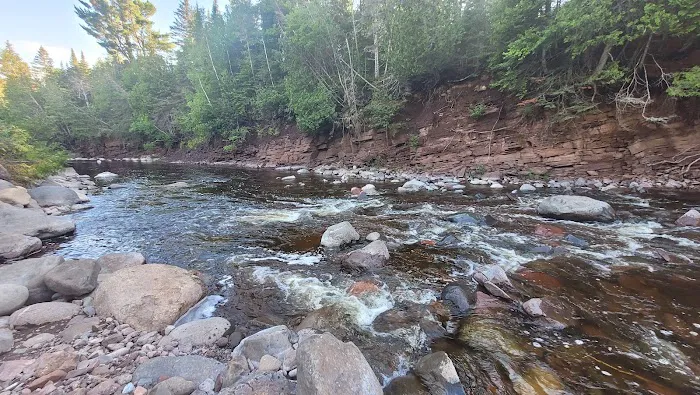 Trout Creek Campsite Picture 4