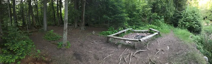 Trout Creek Campsite Picture 6