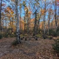 Cut Log Camp ico