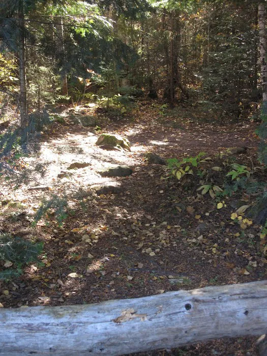 BWCA Campsite #955 Picture 4
