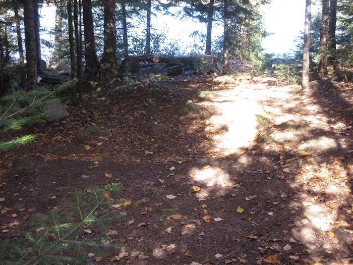 BWCA Campsite #955 Picture 5