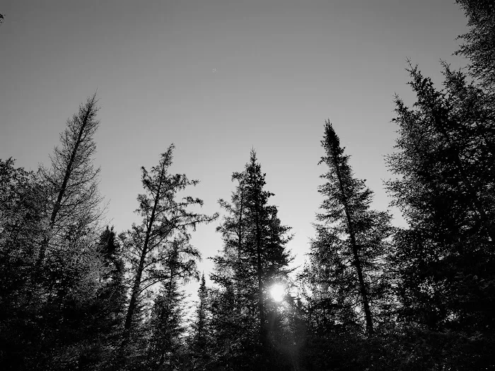 Cascade River Rustic Campground Picture 1