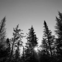 Cascade River Rustic Campground ico