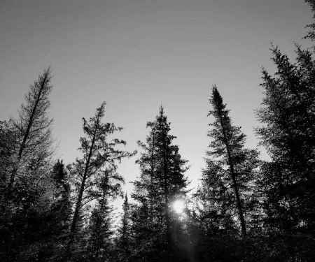 Cascade River Rustic Campground