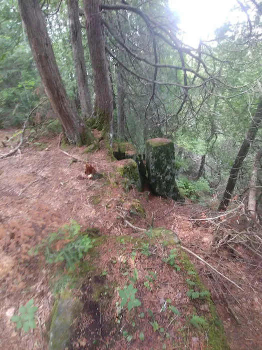 Cascade River Rustic Campground Picture 9