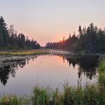 South Bally Creek Pond Camp