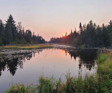 South Bally Creek Pond Camp