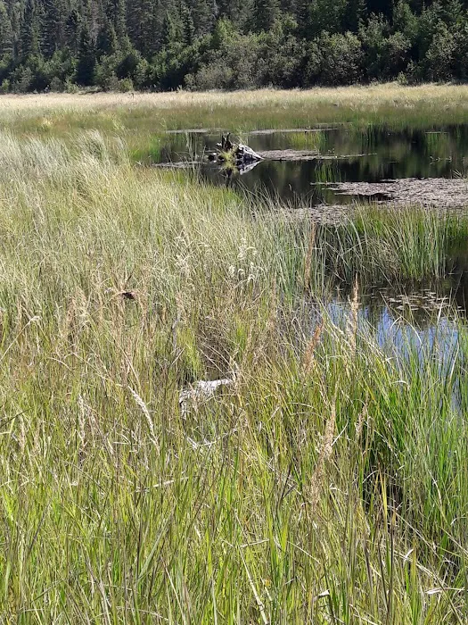 South Bally Creek Pond Camp Picture 9