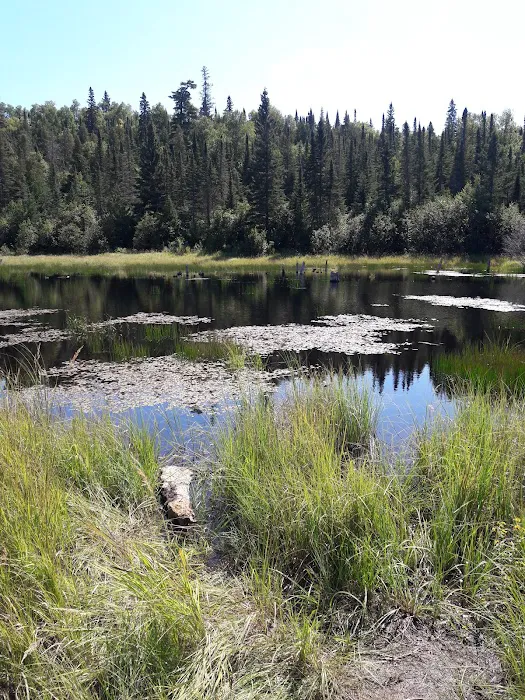 South Bally Creek Pond Camp Picture 8