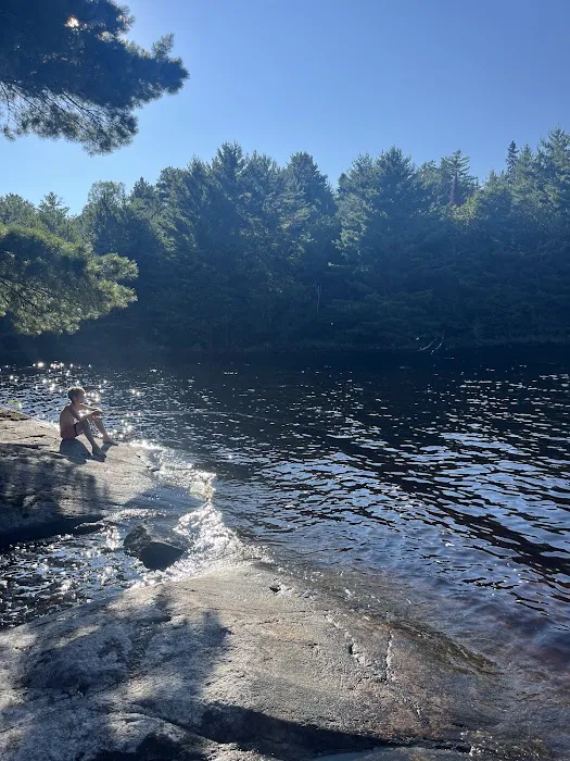 Ingersoll Cove S30 Campsite Picture 5