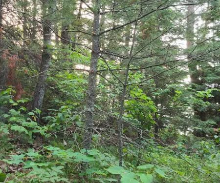 Tulsa NE / Will Rogers Downs KOA Journey