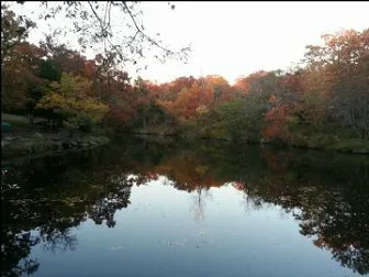 Savannah's ,woods and Water ,Outside Wedding Venue as well, Jacuzzi Cabins, Catoosa ok. area. Picture 8