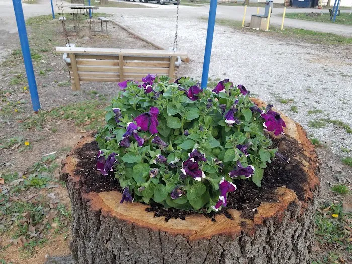 Beagle Bay RV Haven & Campground Picture 3