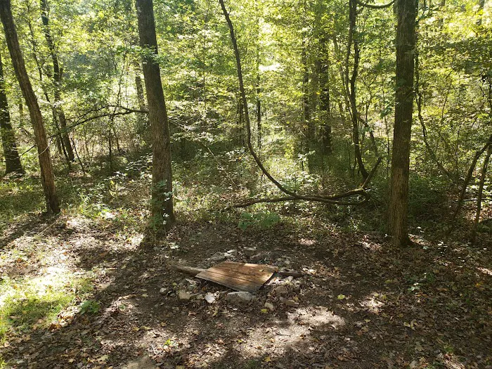 Lush Green Hideaway Picture 1