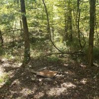 Lush Green Hideaway ico