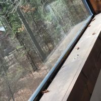Northern Exposure Cabin ico