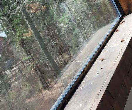 Northern Exposure Cabin