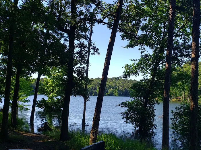Carson Creek Area RV Campground Picture 7