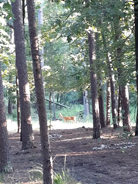 Quail Circle RV Campground Picture 4