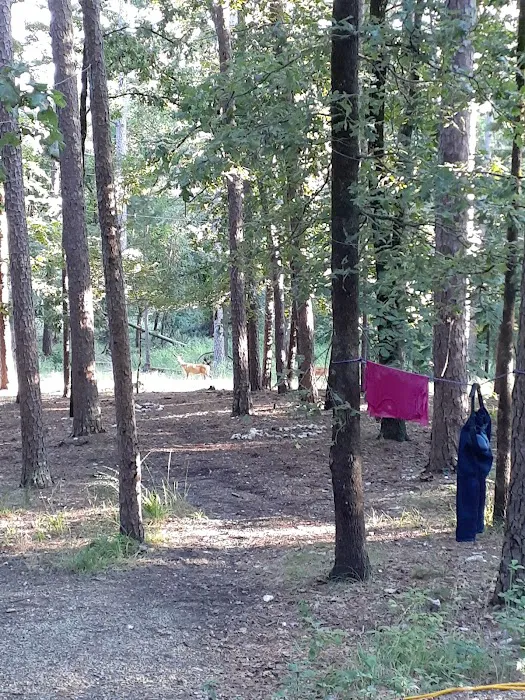 Quail Circle RV Campground Picture 7