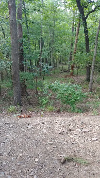 Quail Circle RV Campground Picture 2