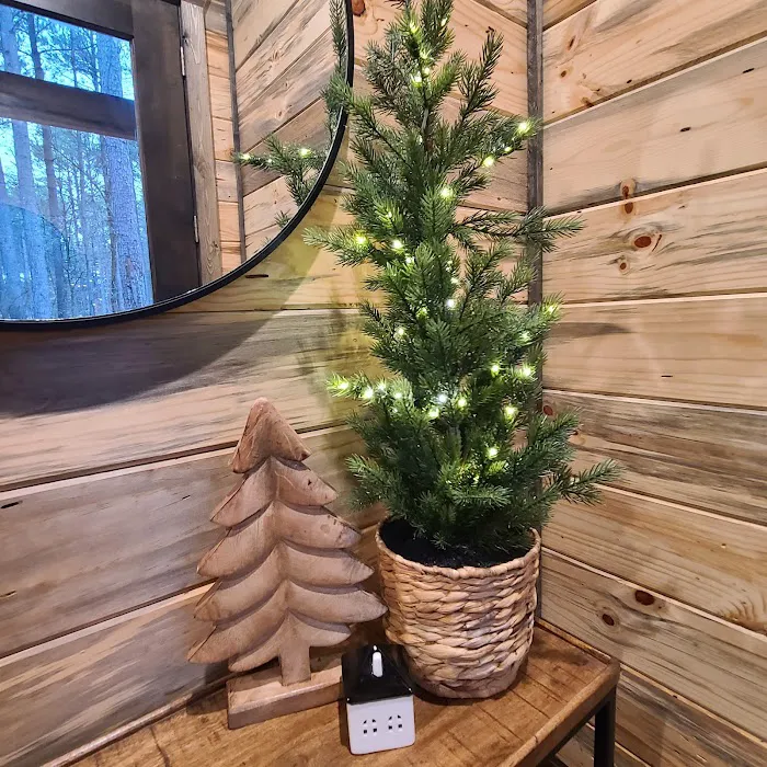 Crooked Elbow Cabin Picture 5