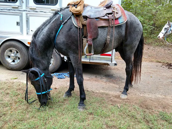 Cedar Lake Equestrian Campground Picture 6