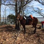 Cedar Lake Equestrian Campground