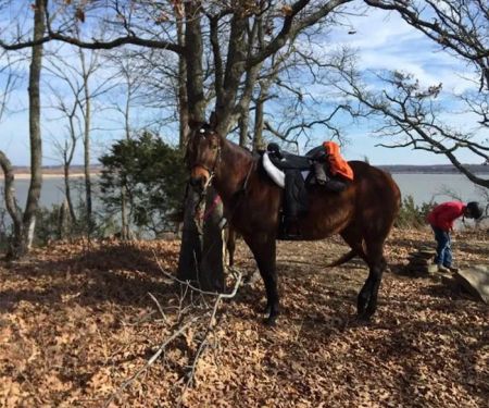 Cedar Lake Equestrian Campground