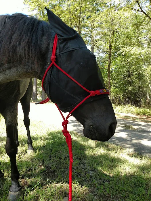 Cedar Lake Equestrian Campground Picture 4