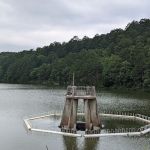 Cedar Lake Recreation Site