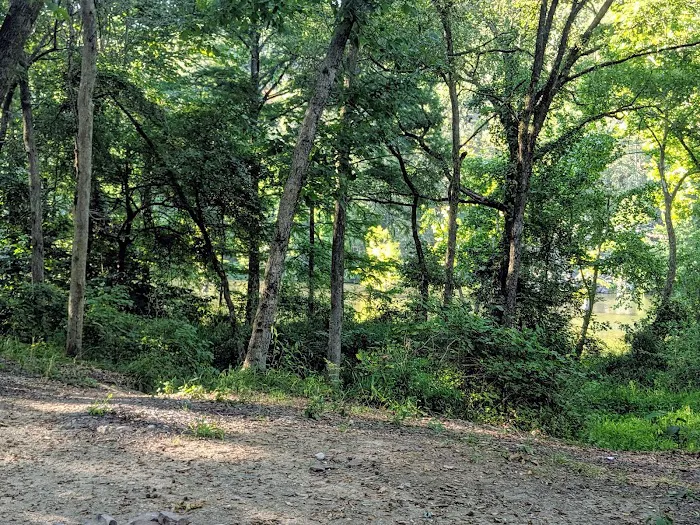 Dogwood Campground Picture 10
