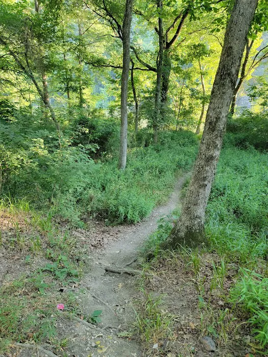 Dogwood Campground Picture 6