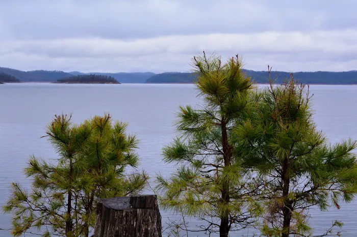 Crystal Point Picture 9