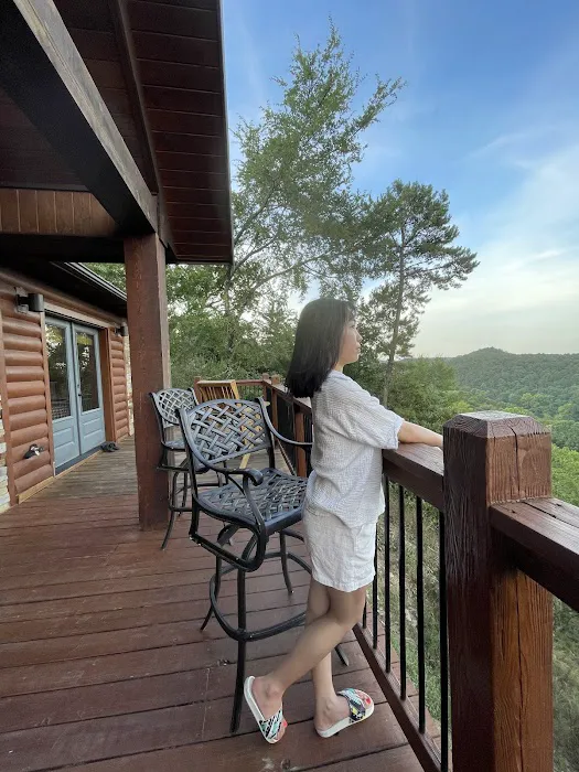 Eagle's Point Cabin Picture 1