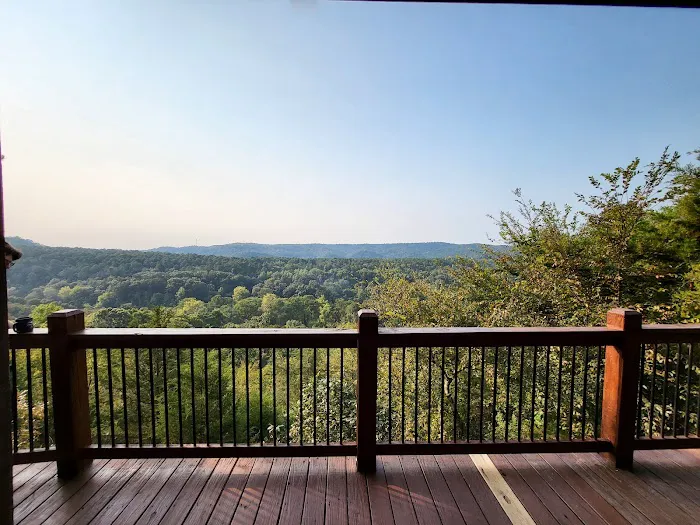 Eagle's Point Cabin Picture 4