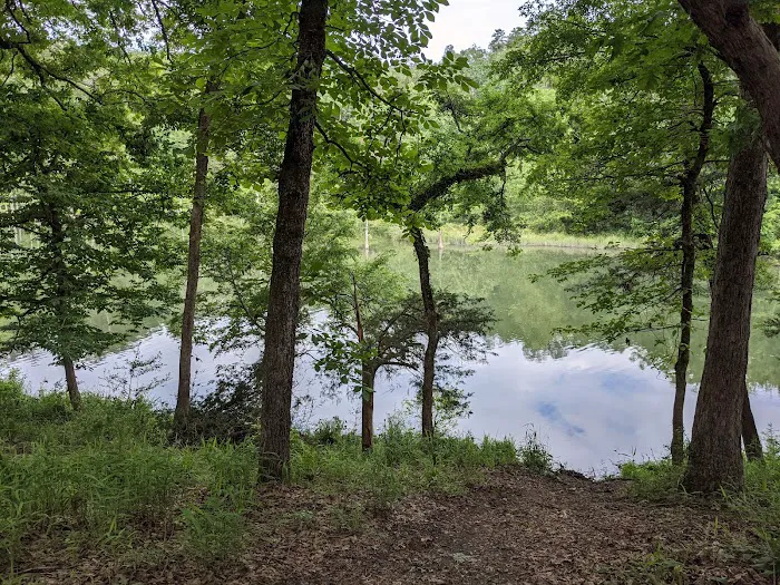Fern Campground Picture 6