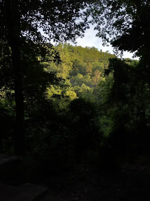 Grapevine Campground Picture 7