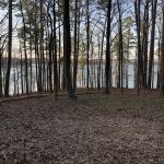 Deer Road Camping Area