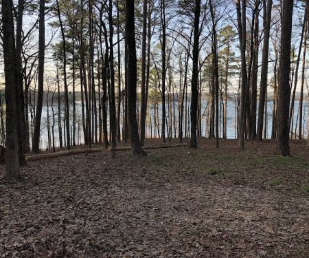 Deer Road Camping Area