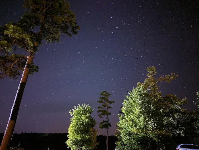 Coyote Drive Campground Picture 8