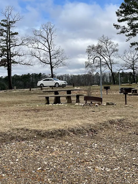 Coyote Drive Campground Picture 10