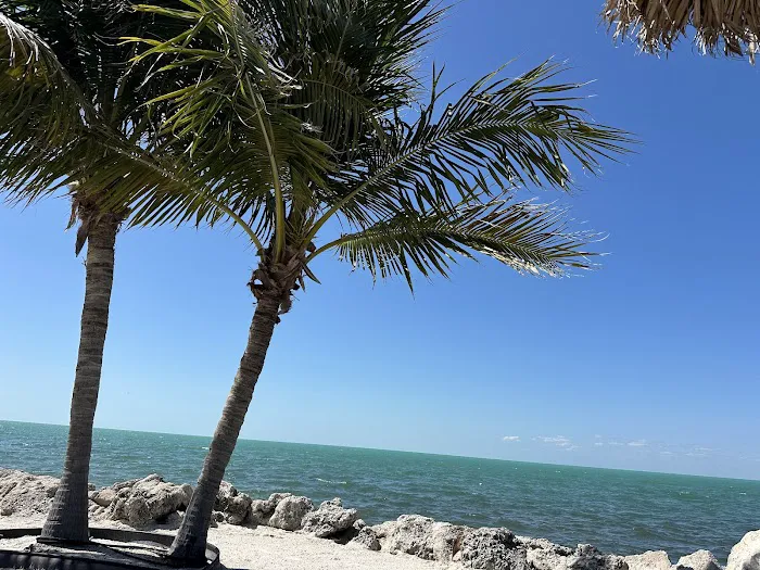 Jolly Roger Picture 4