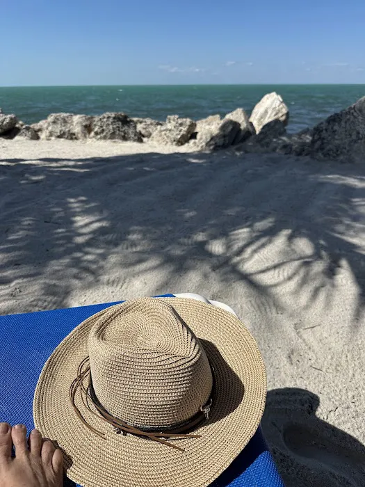 Jolly Roger Picture 3