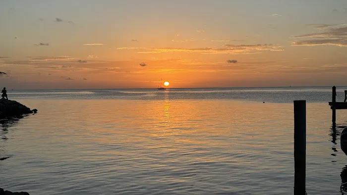 Jolly Roger Picture 5